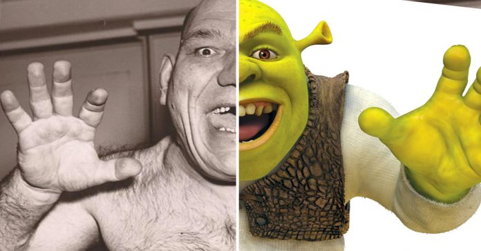 el shrek de carne y hueso banner