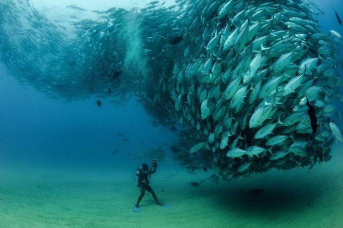 13-fotos-que-son-inquietantes-a-la-vez-que-ipresionantes {keyword}