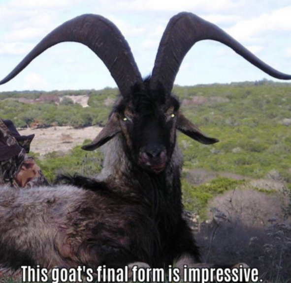 13-fotos-que-son-inquietantes-a-la-vez-que-ipresionantes {keyword}