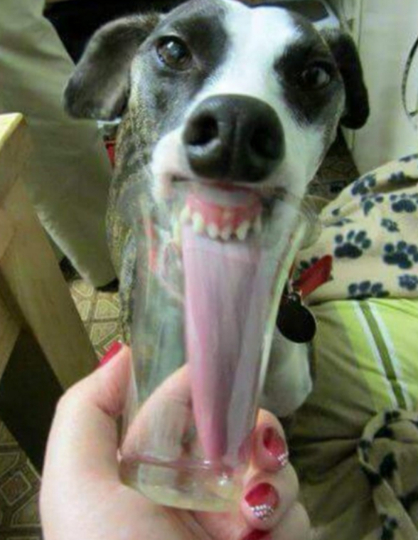 13-fotos-que-son-inquietantes-a-la-vez-que-ipresionantes {keyword}