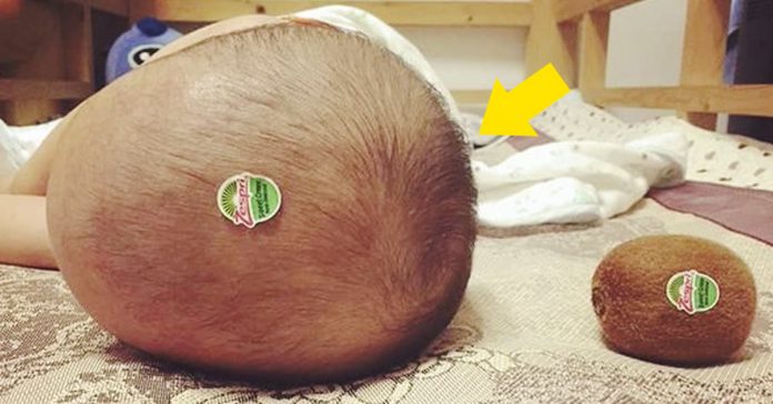 cosas que son identicas a otras cosas banner