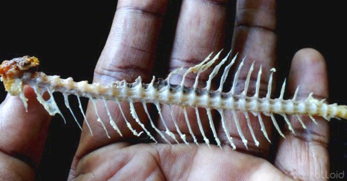 6 Cosas que deberías hacer rápidamente si te atragantas con una espina 2 esto es lo que debes hacer si se te atasca un hueso de pescado banner