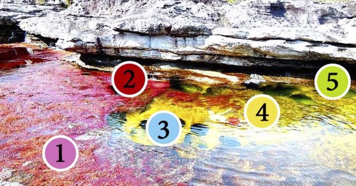 las 10 anomalias de nuestro planeta mas dificiles de explicar banner