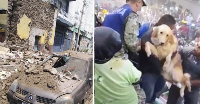 10 imagenes desoladoras de mexico tras sufrir un terremoto de magnitud 71 banner