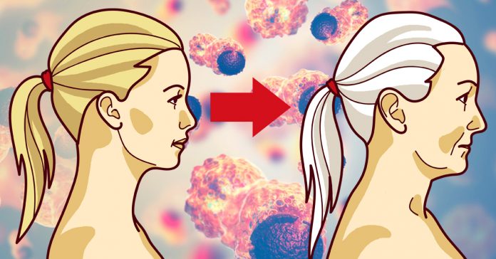 edad metabolismo ralentiza banner