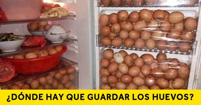 el gran dilema de los huevos donde hay que guardarlos banner