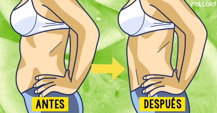 alimentos que combatiran grasa vientre banner