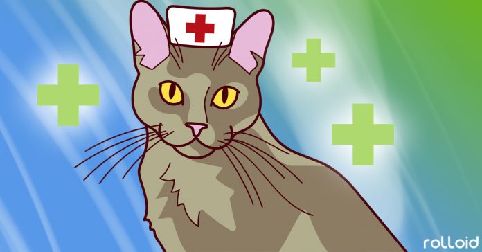 coomo pueden los gatos mejorar tu salud y vida banner